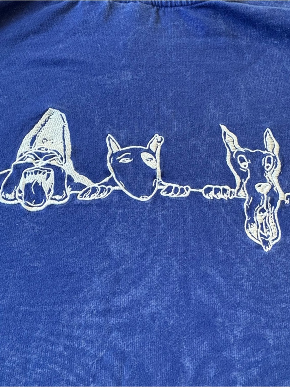 Snoop Dogg Men's Acid Wash Cotton Hoodie Sweatshirt Size Large Royal Blue Color